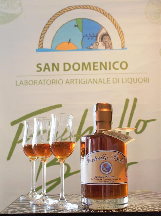 Affittacamere Sandomenico 卡梅罗塔的码头 外观 照片